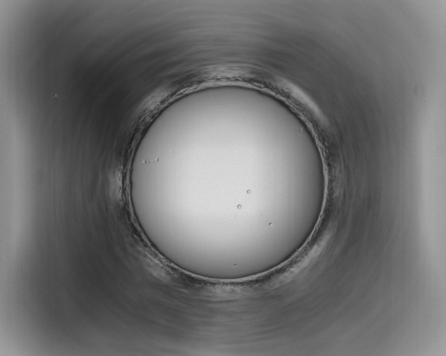 X0000114500777200910191136