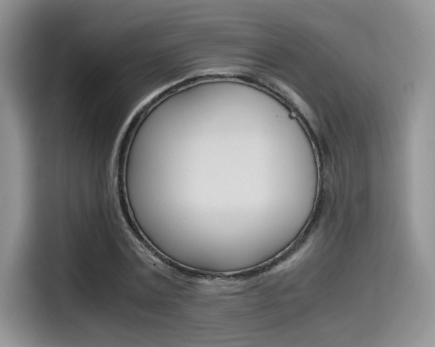 X0000114500779200910191136