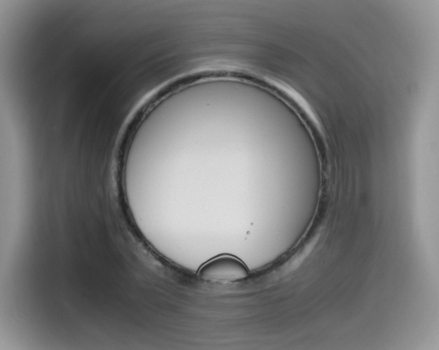 X0000114500783200910191136