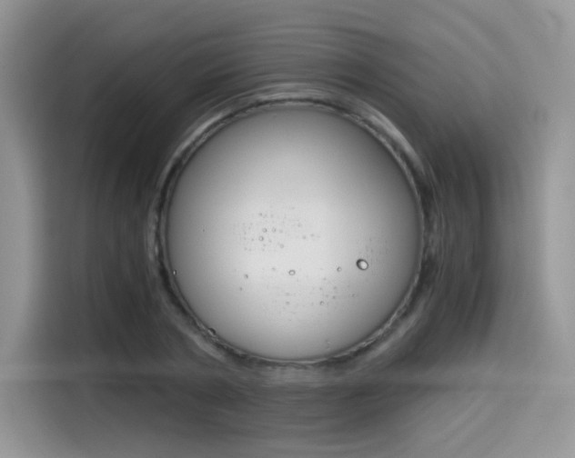 X0000114500786200910191136