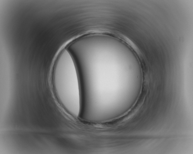 X0000114500787200910191135