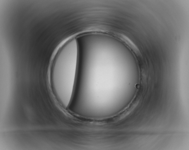 X0000114500788200910191135