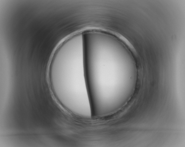 X0000114500791200910191135