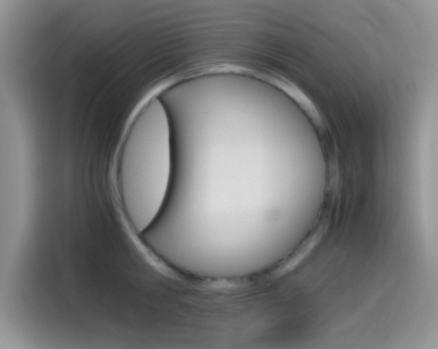 X0000114500806200910191135