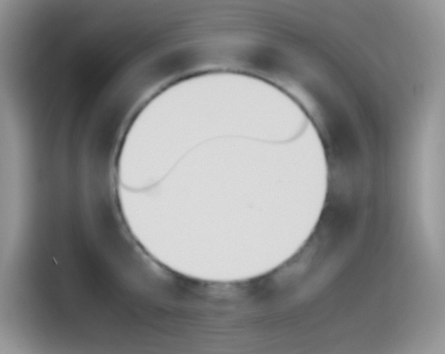 X0000114500807200910191135