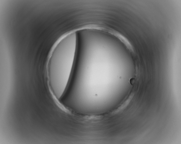 X0000114500808200910191135