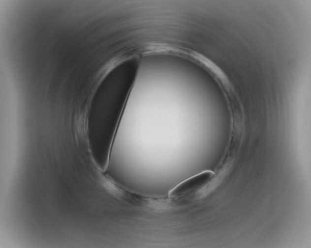X0000114500809200910191135