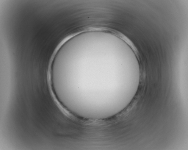X0000114500811200910191135
