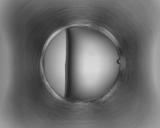 X0000114500812200910191135