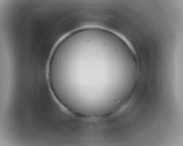 X0000114500815200910191135