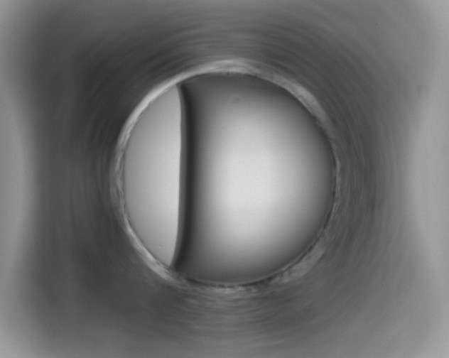 X0000114500816200910191135