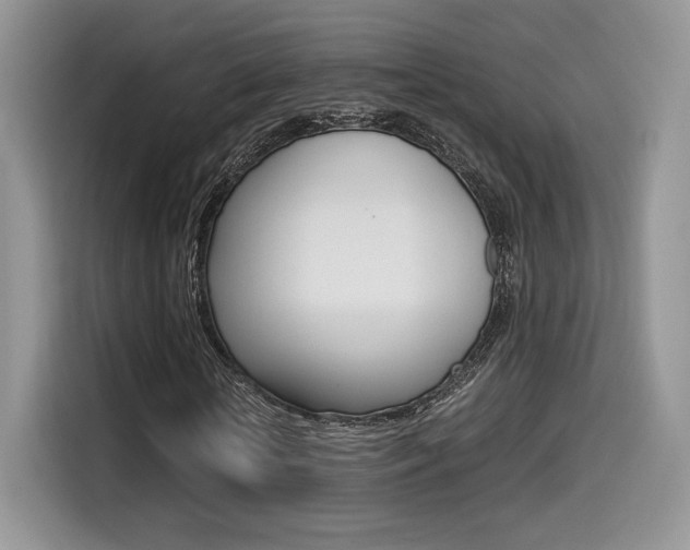 X0000114500818200910191135