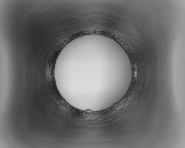 X0000114500819200910191135
