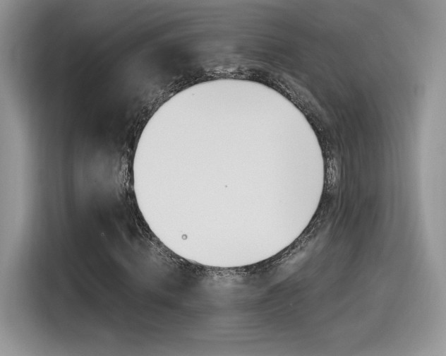 X0000114500820200910191135