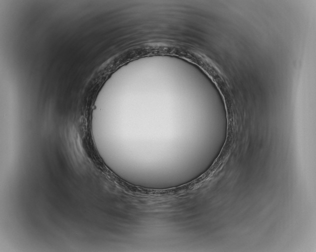 X0000114500821200910191135