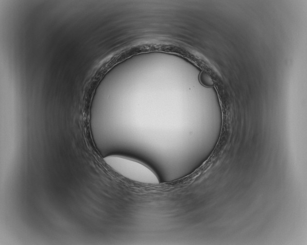 X0000114500822200910191135