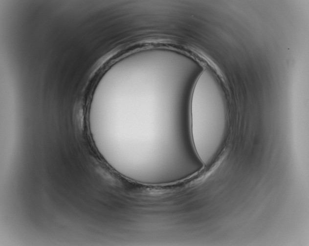X0000114500829200910191135