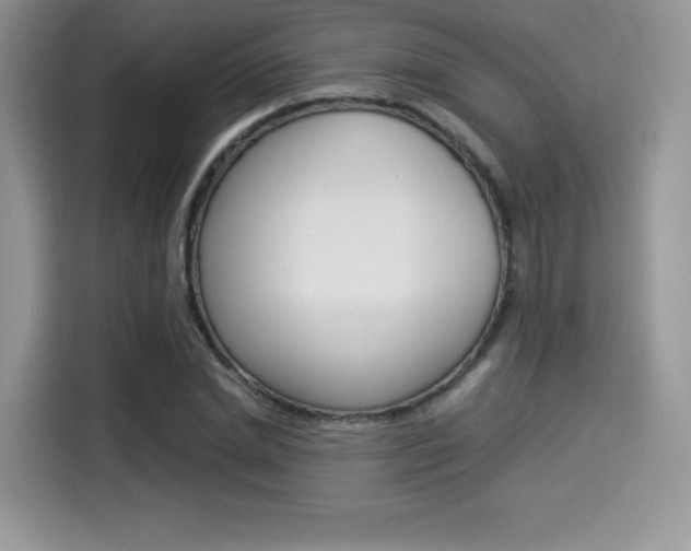 X0000114500830200910191135