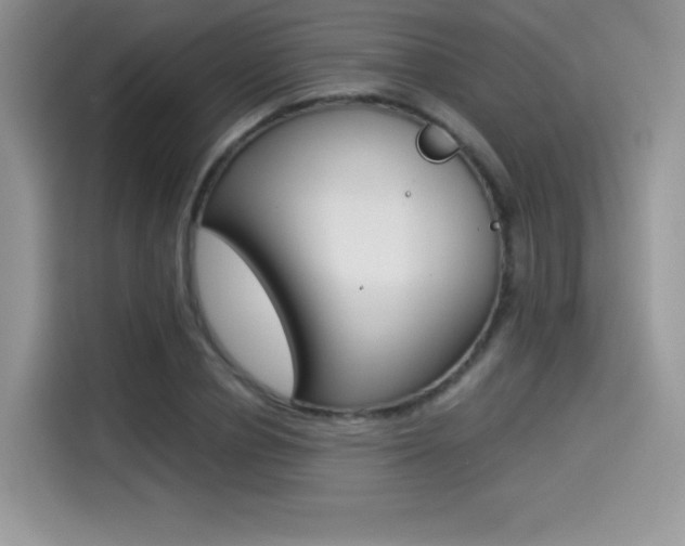 X0000114500834200910191135