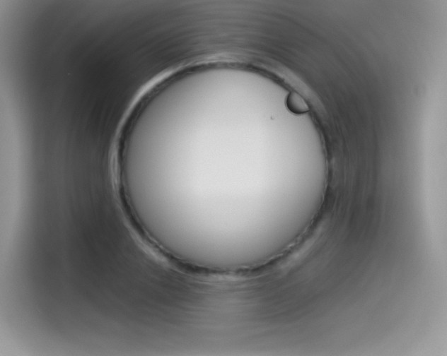 X0000114500838200910191135