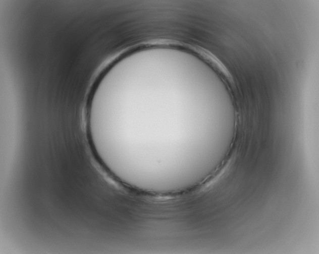X0000114500839200910191135