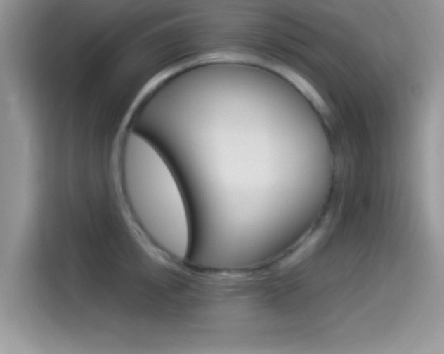 X0000114500854200910191135