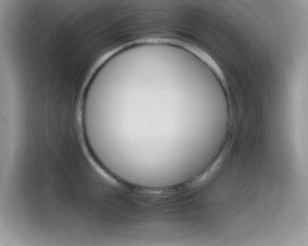 X0000114500855200910191135