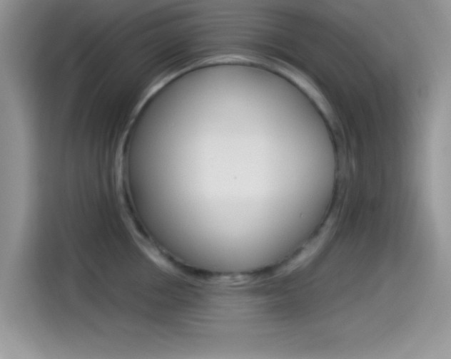 X0000114500858200910191135