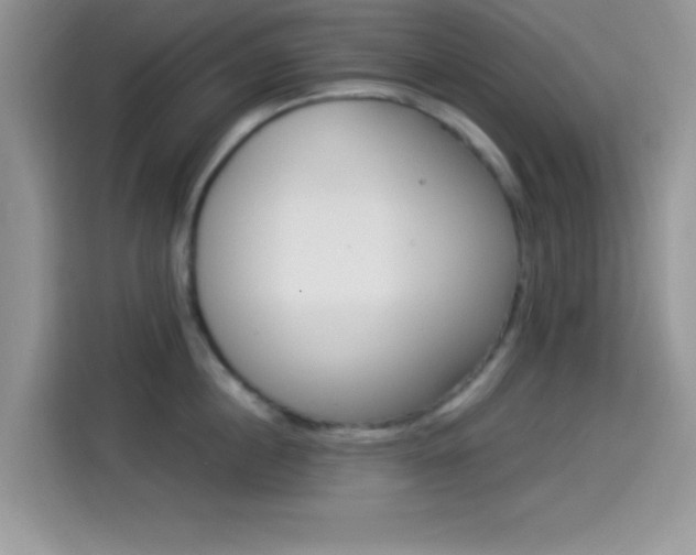 X0000114500860200910191135
