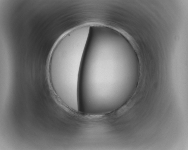 X0000114500864200910191135
