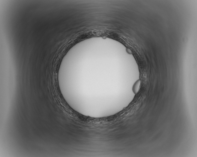 X0000114500865200910191134