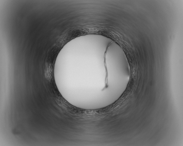 X0000114500866200910191134