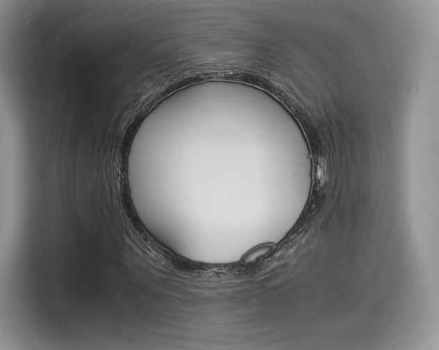 X0000114500867200910191134
