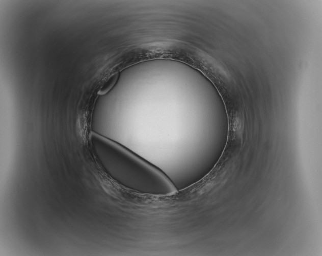X0000114500868200910191134