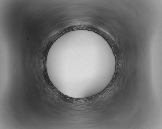 X0000114500869200910191134