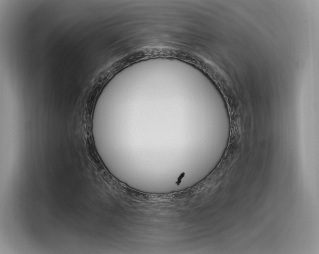 X0000114500870200910191134