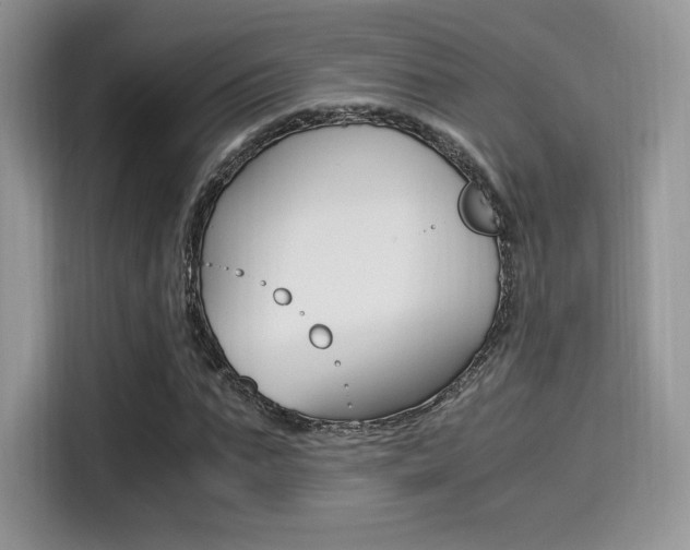 X0000114500871200910191134