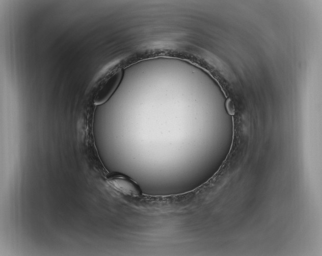X0000114500872200910191134