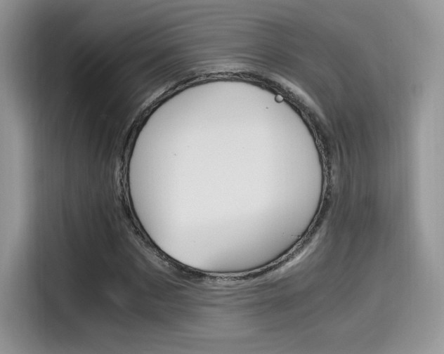 X0000114500873200910191134