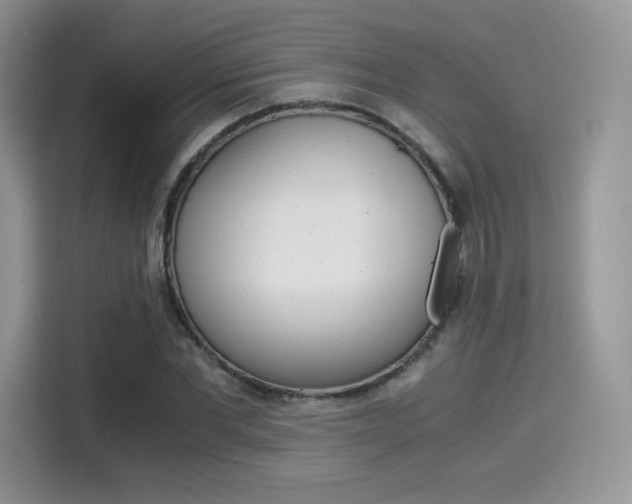 X0000114500877200910191134