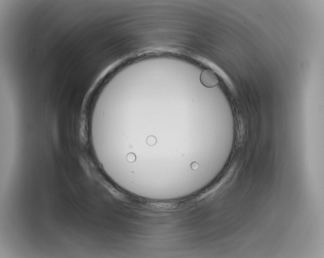 X0000114500878200910191134
