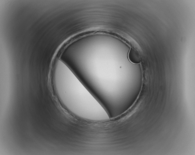 X0000114500880200910191134