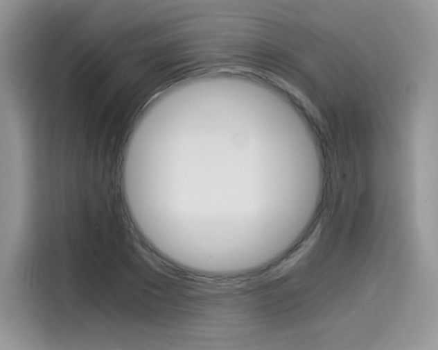 X0000114500881200910191134