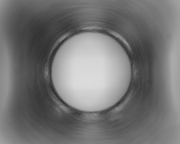 X0000114500882200910191134