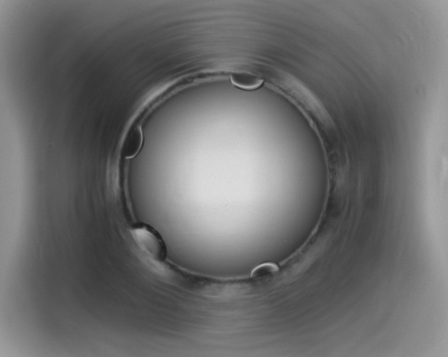 X0000114500884200910191134