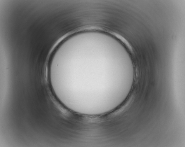 X0000114500886200910191134