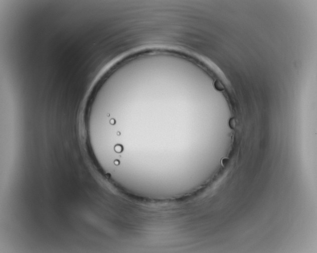 X0000114500887200910191134