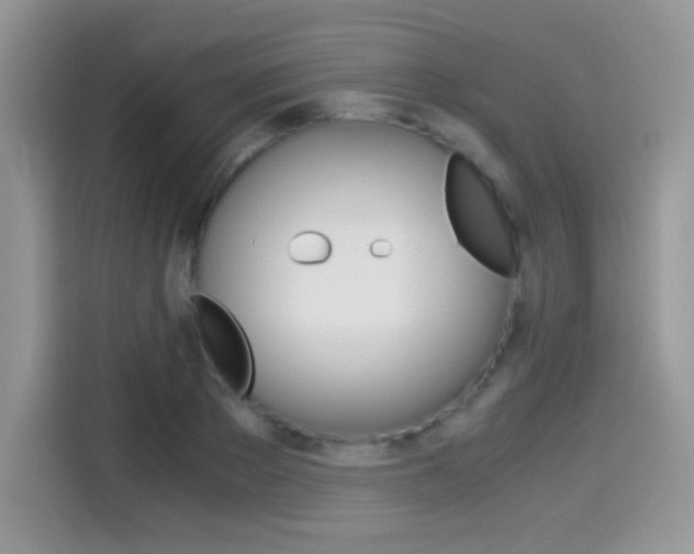 X0000114500889200910191134