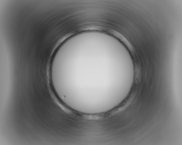 X0000114500890200910191134