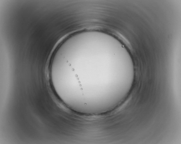 X0000114500891200910191134